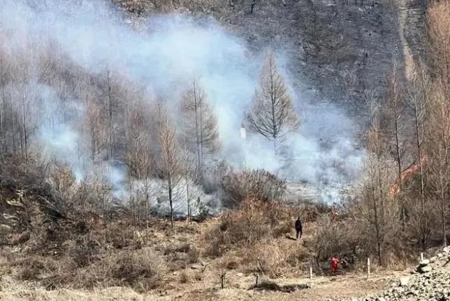 明火已撲滅，初步判斷由祭祀用火引發(fā)！今年已發(fā)生多起
