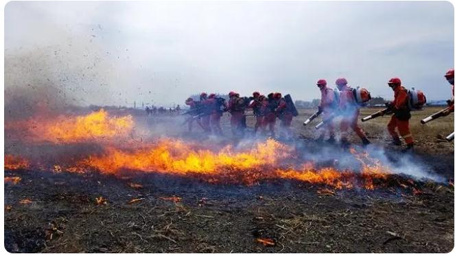 敦化市森林消防大隊聯(lián)合多方開展撲救森林火災實戰(zhàn)演練